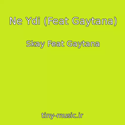 کاور آهنگ Ne Ydi (Feat Gaytana) از Skay Feat Gaytana