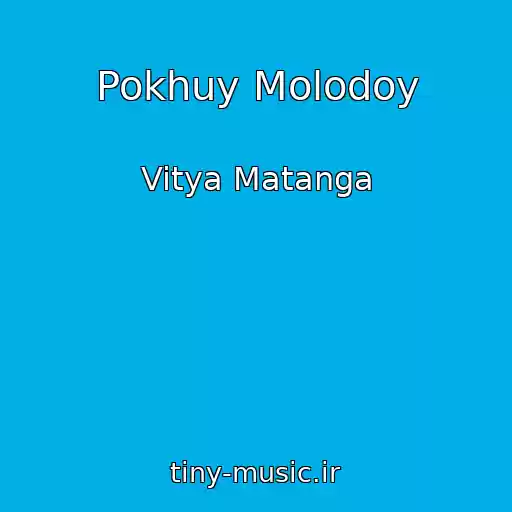 کاور آهنگ Pokhuy Molodoy از Vitya Matanga