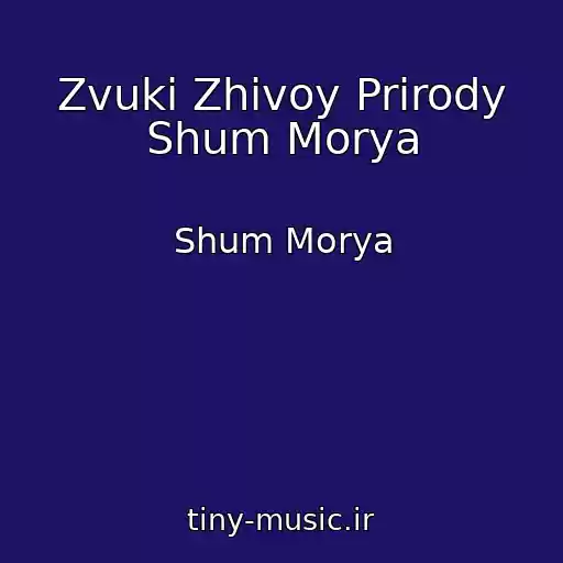 کاور آهنگ Zvuki Zhivoy Prirody Shum Morya از Shum Morya