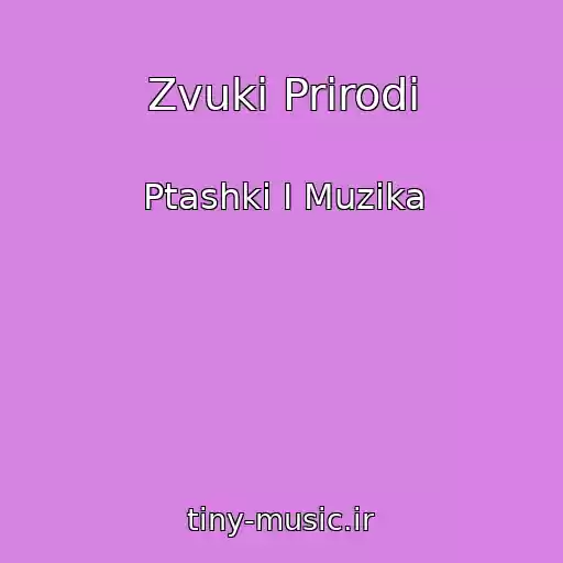 کاور آهنگ Zvuki Prirodi از Ptashki І Muzika