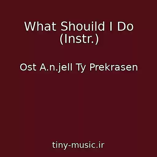 کاور آهنگ What Shouild I Do (Instr.) از Ost A.n.jell Ty Prekrasen