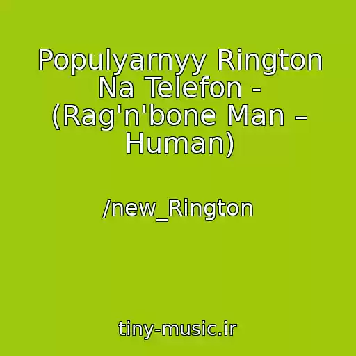 کاور آهنگ Populyarnyy Rington Na Telefon - (Rag'n'bone Man – Human) از /new_Rington