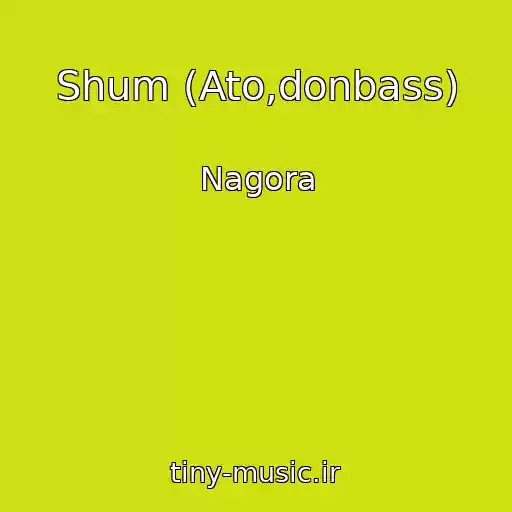 کاور آهنگ Shum (Ato,donbass) از Nagora