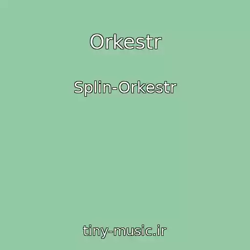 کاور آهنگ Orkestr از Splin-Orkestr