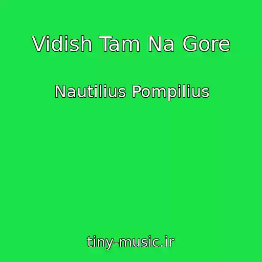 کاور آهنگ Vidish Tam Na Gore از Nautilius Pompilius