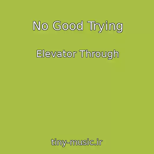 کاور آهنگ No Good Trying از Elevator Through