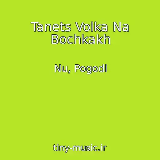 کاور آهنگ Tanets Volka Na Bochkakh از Nu, Pogodi
