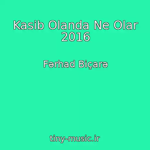 کاور آهنگ Kasib Olanda Ne Olar 2016 از Fərhad Biçarə