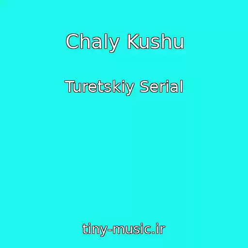 کاور آهنگ Chaly Kushu از Turetskiy Serial