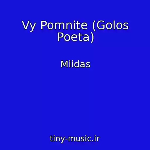 کاور آهنگ Vy Pomnite (Golos Poeta) از Miidas