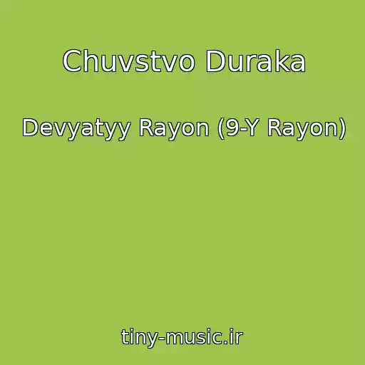 کاور آهنگ Chuvstvo Duraka از Devyatyy Rayon (9-Y Rayon)
