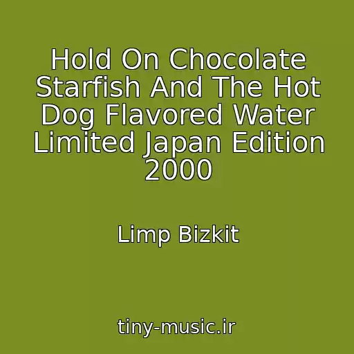 کاور آهنگ Hold On Chocolate Starfish And The Hot Dog Flavored Water Limited Japan Edition 2000 از Limp Bizkit