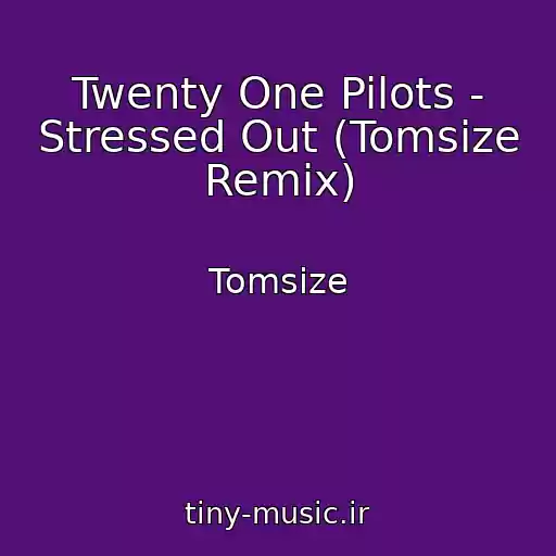 کاور آهنگ Twenty One Pilots - Stressed Out (Tomsize Remix) از Tomsize
