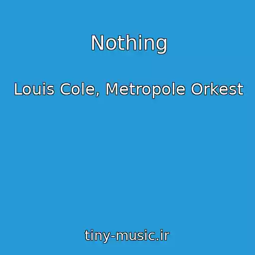 کاور آهنگ Nothing از Louis Cole, Metropole Orkest