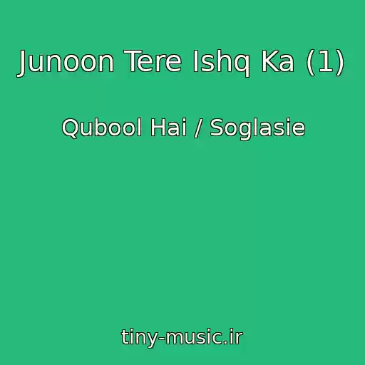 کاور آهنگ Junoon Tere Ishq Ka (1) از Qubool Hai / Soglasie