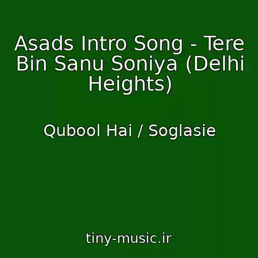 کاور آهنگ Asads Intro Song - Tere Bin Sanu Soniya (Delhi Heights) از Qubool Hai / Soglasie