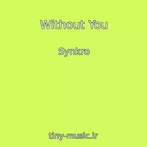 کاور آهنگ Without You از Synkro