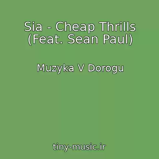 کاور آهنگ Sia - Cheap Thrills (Feat. Sean Paul) از Muzyka V Dorogu