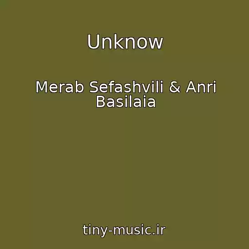 کاور آهنگ Unknow از Merab Sefashvili & Anri Basilaia