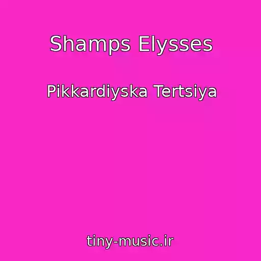 کاور آهنگ Shamps Elysses از Pіkkardіyska Tertsіya