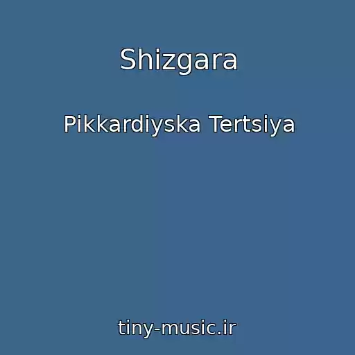 کاور آهنگ Shizgara از Pіkkardіyska Tertsіya