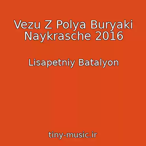 کاور آهنگ Vezu Z Polya Buryaki Naykrasche 2016 از Lіsapetniy Batalyon