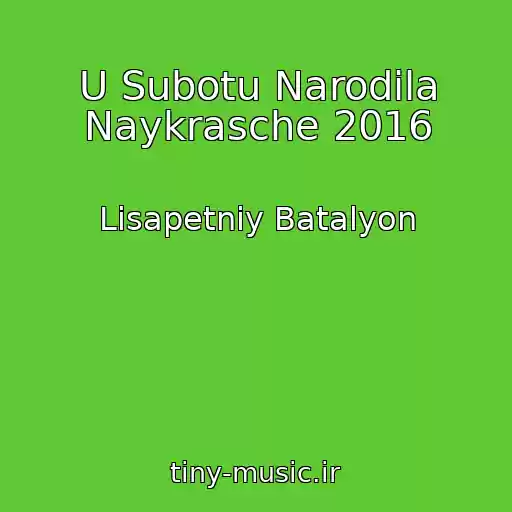 کاور آهنگ U Subotu Narodila Naykrasche 2016 از Lіsapetniy Batalyon