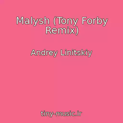 کاور آهنگ Malysh (Tony Forby Remix) از Andrey Linitskiy