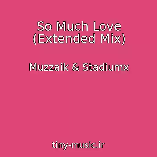 کاور آهنگ So Much Love (Extended Mix) از Muzzaik & Stadiumx