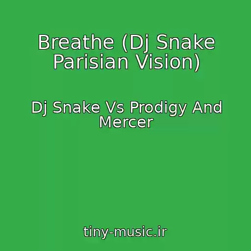 کاور آهنگ Breathe (Dj Snake Parisian Vision) از Dj Snake Vs Prodigy And Mercer
