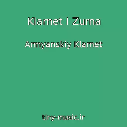کاور آهنگ Klarnet I Zurna از Armyanskiy Klarnet