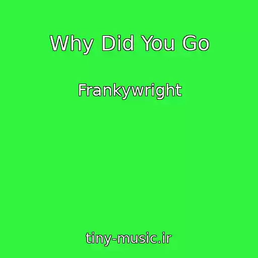 کاور آهنگ Why Did You Go از Frankywright