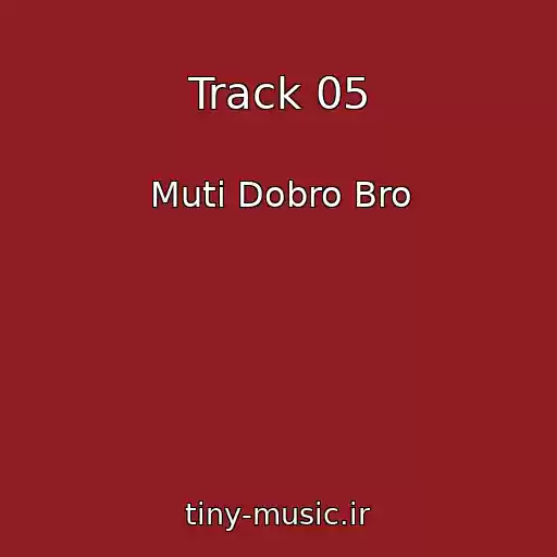 کاور آهنگ Track 05 از Muti Dobro Bro