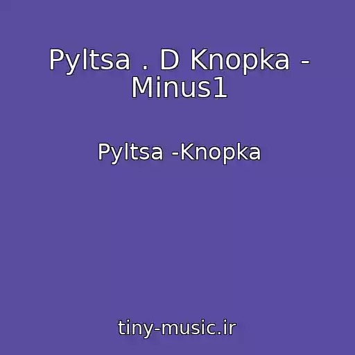 کاور آهنگ Pyltsa . D Knopka - Minus1 از Pyltsa -Knopka