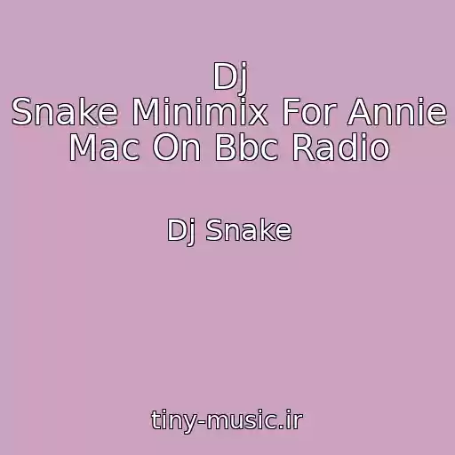 کاور آهنگ Dj Snake Minimix For Annie Mac On Bbc Radio از Dj Snake