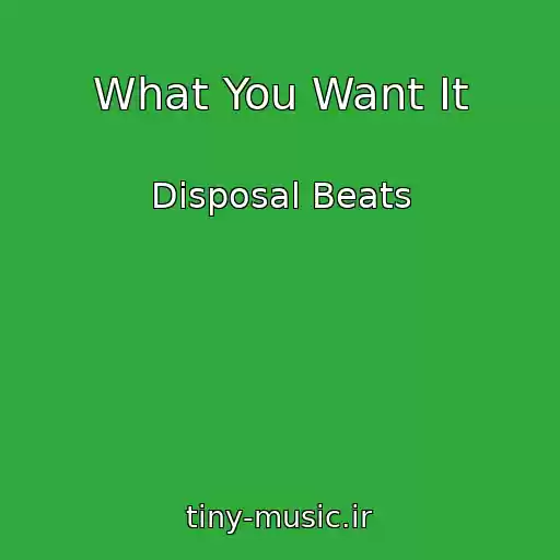 کاور آهنگ What You Want It از Disposal Beats