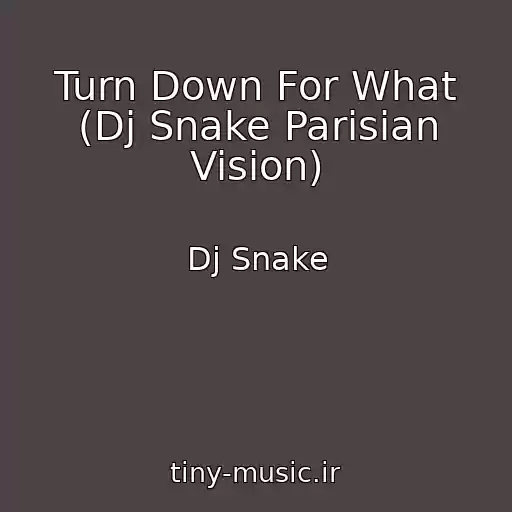 کاور آهنگ Turn Down For What (Dj Snake Parisian Vision) از Dj Snake