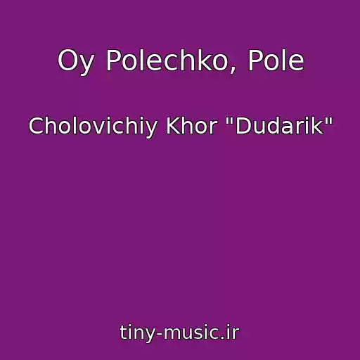 کاور آهنگ Oy Polechko, Pole از Cholovіchiy Khor "Dudarik"