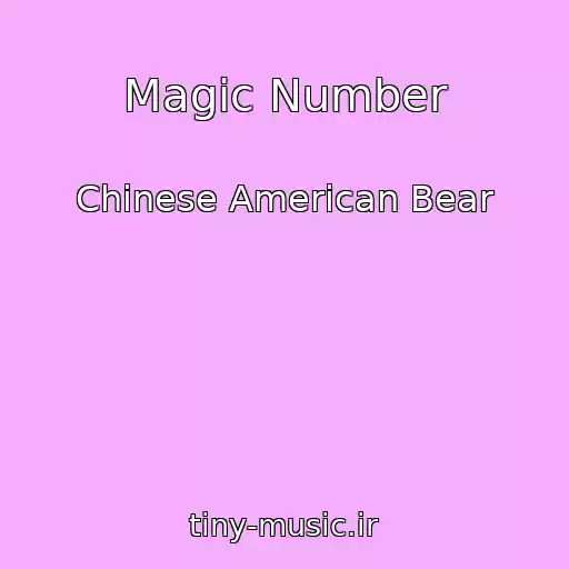 کاور آهنگ Magic Number از Chinese American Bear