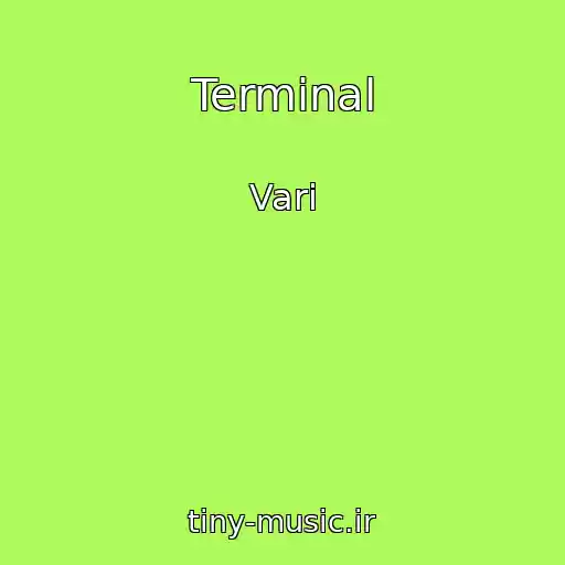 کاور آهنگ Terminal از Vari