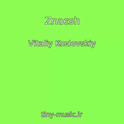 کاور آهنگ Znaєsh از Vіtalіy Kozlovskiy