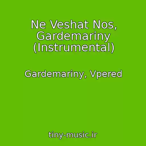 کاور آهنگ Ne Veshat Nos, Gardemariny (Instrumental) از Gardemariny, Vpered