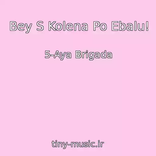 کاور آهنگ Bey S Kolena Po Ebalu! از 5-Aya Brigada