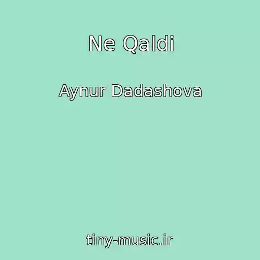 کاور آهنگ Ne Qaldi از Aynur Dadashova
