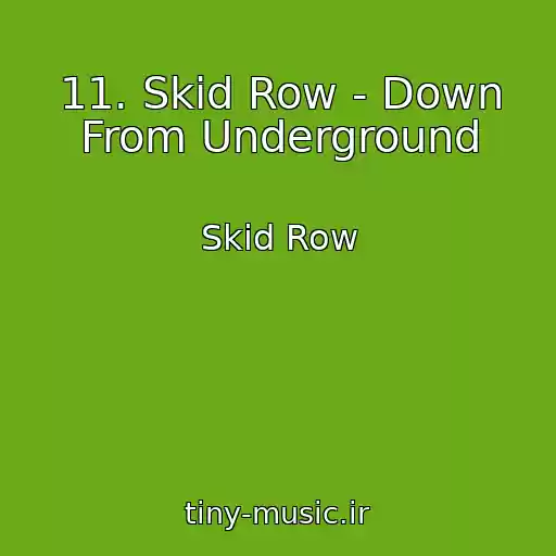 کاور آهنگ 11. Skid Row - Down From Underground از Skid Row