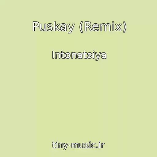 کاور آهنگ Puskay (Remix) از Intonatsiya