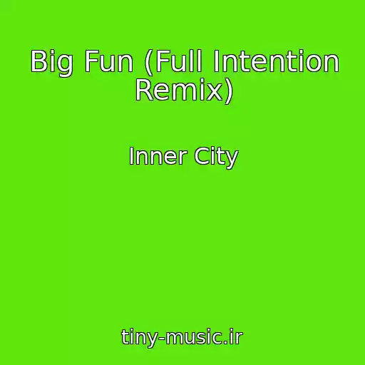 کاور آهنگ Big Fun (Full Intention Remix) از Inner City