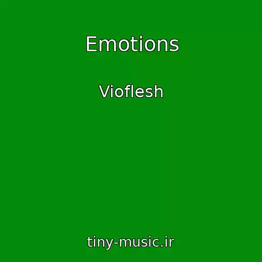 کاور آهنگ Emotions از Vioflesh
