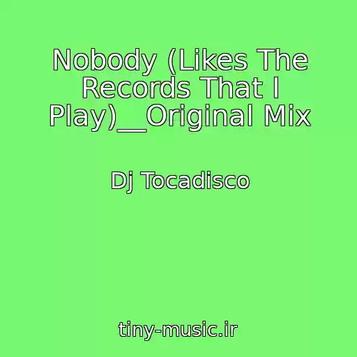 کاور آهنگ Nobody (Likes The Records That I Play)__Original Mix از Dj Tocadisco
