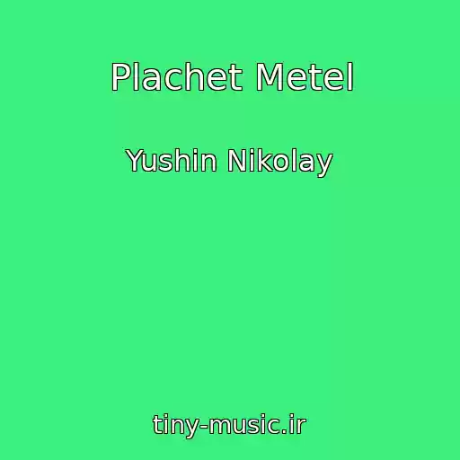 کاور آهنگ Plachet Metel از Yushin Nikolay